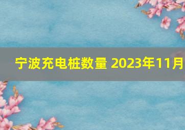 宁波充电桩数量 2023年11月